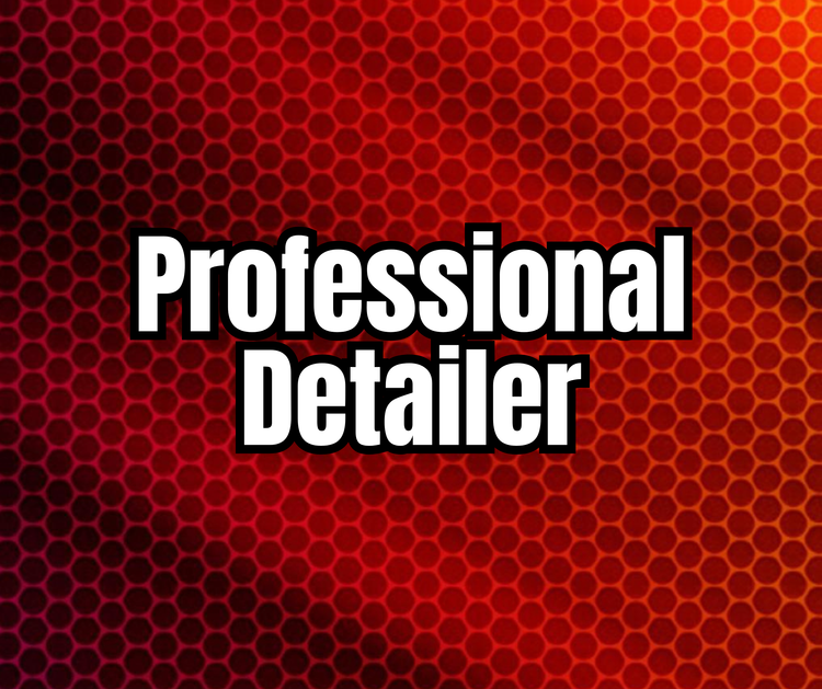 Professional Detailer